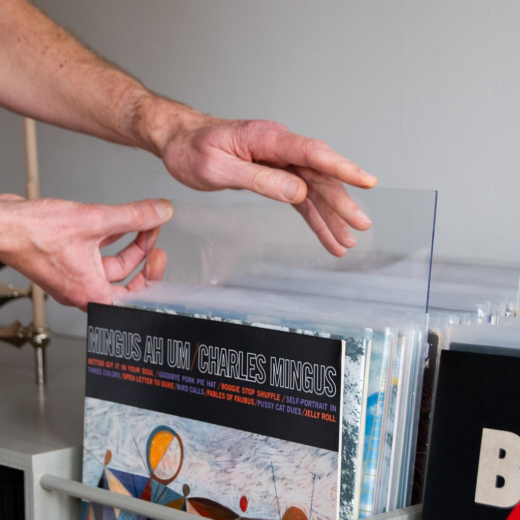 Plexiglas für Schallplatten – hält Haustiere von der LP-Aufbewahrung fern